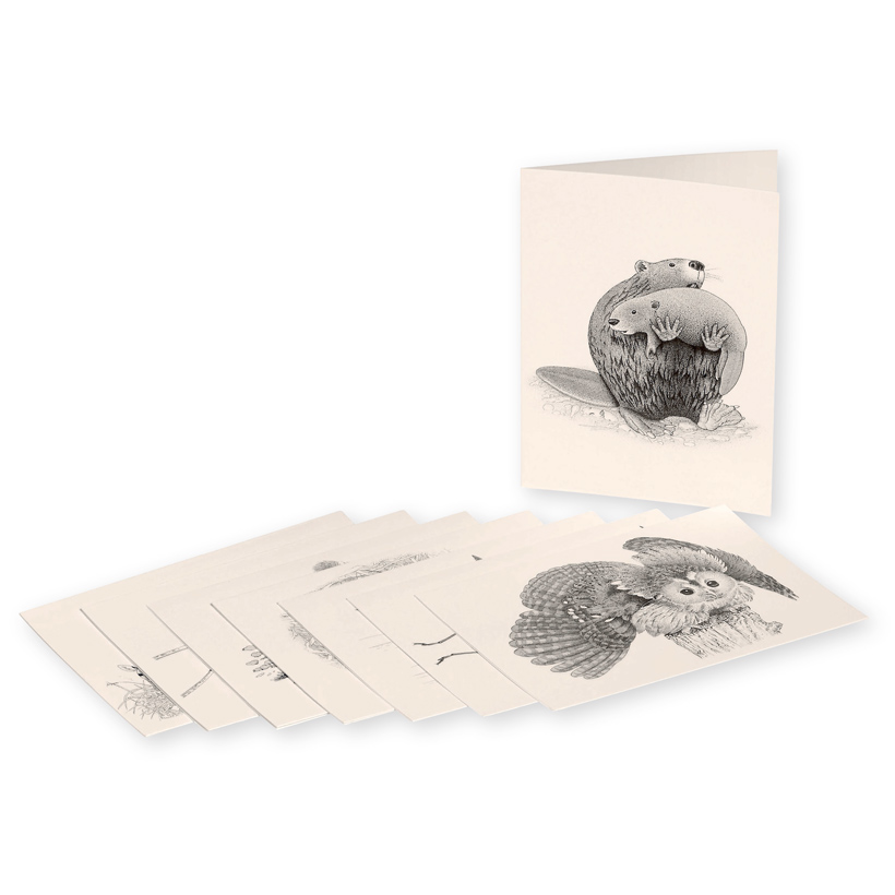 Cartes de correspondance