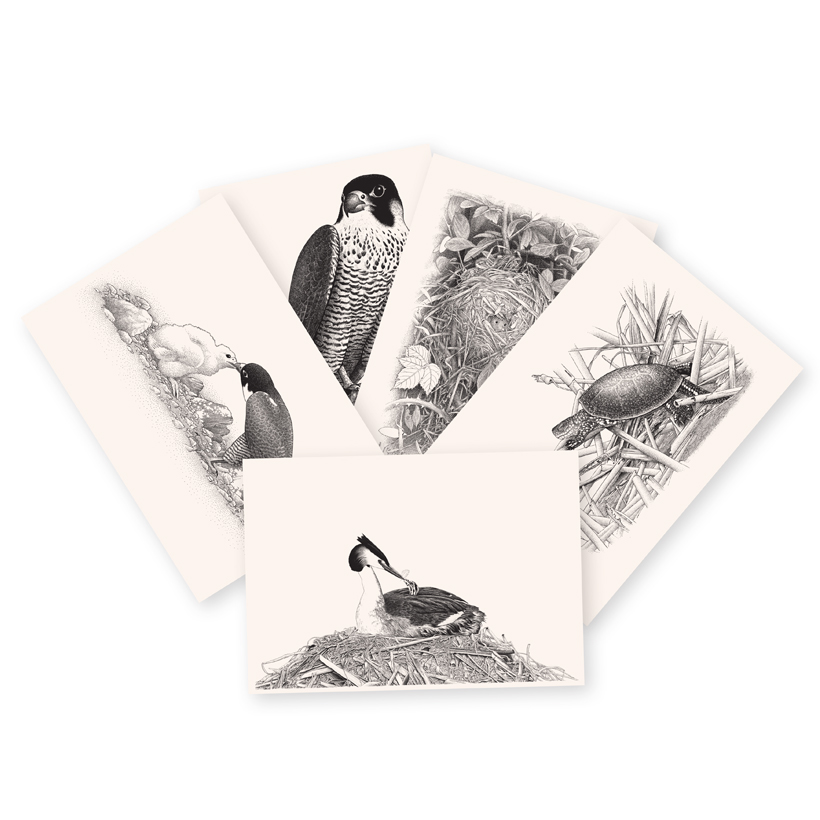 Les posters à encadrer